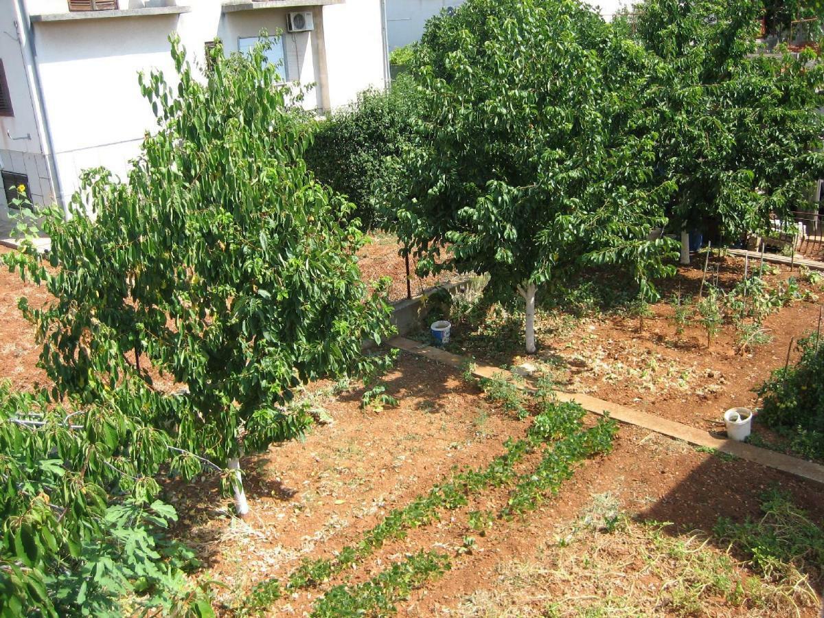 Tihi Apartman Zadar Extérieur photo